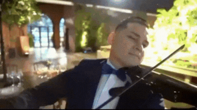 Ambientación musical elegante con violín para la recepción de la boda por Marcelo Cáceres.
